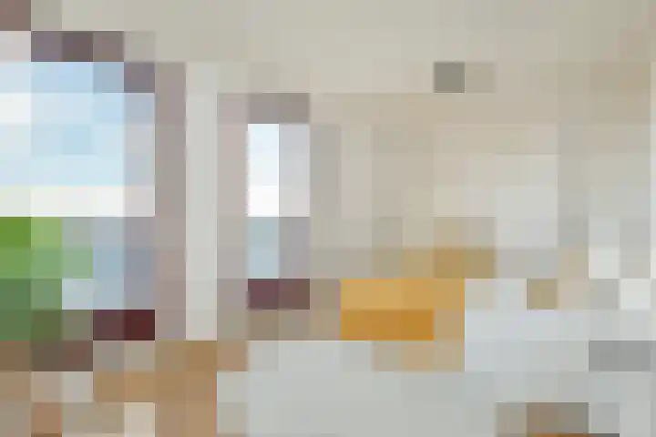 Albatrospad 27 Amsterdam thumbnail 8