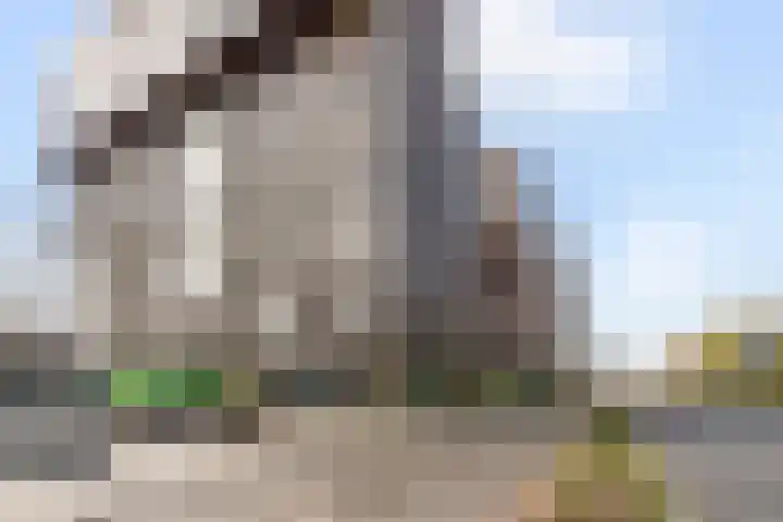 Albatrospad 8 Amsterdam thumbnail 31