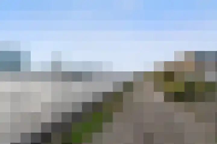 Albatrospad 8 Amsterdam thumbnail 34
