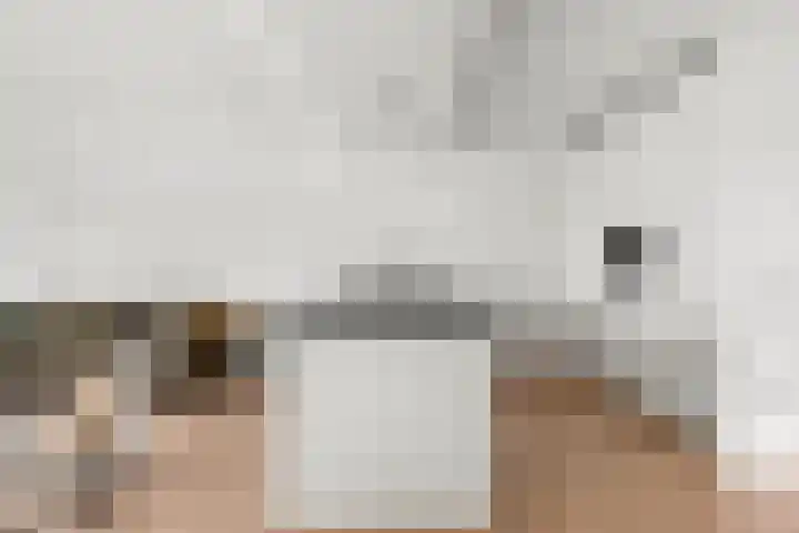Albatrospad 8 Amsterdam thumbnail 9