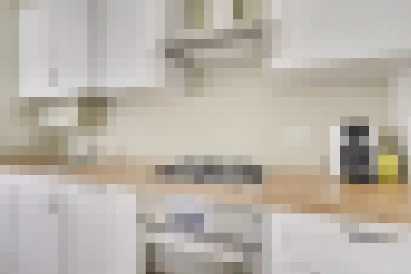 Albatrosstraat 14 Utrecht thumbnail 21