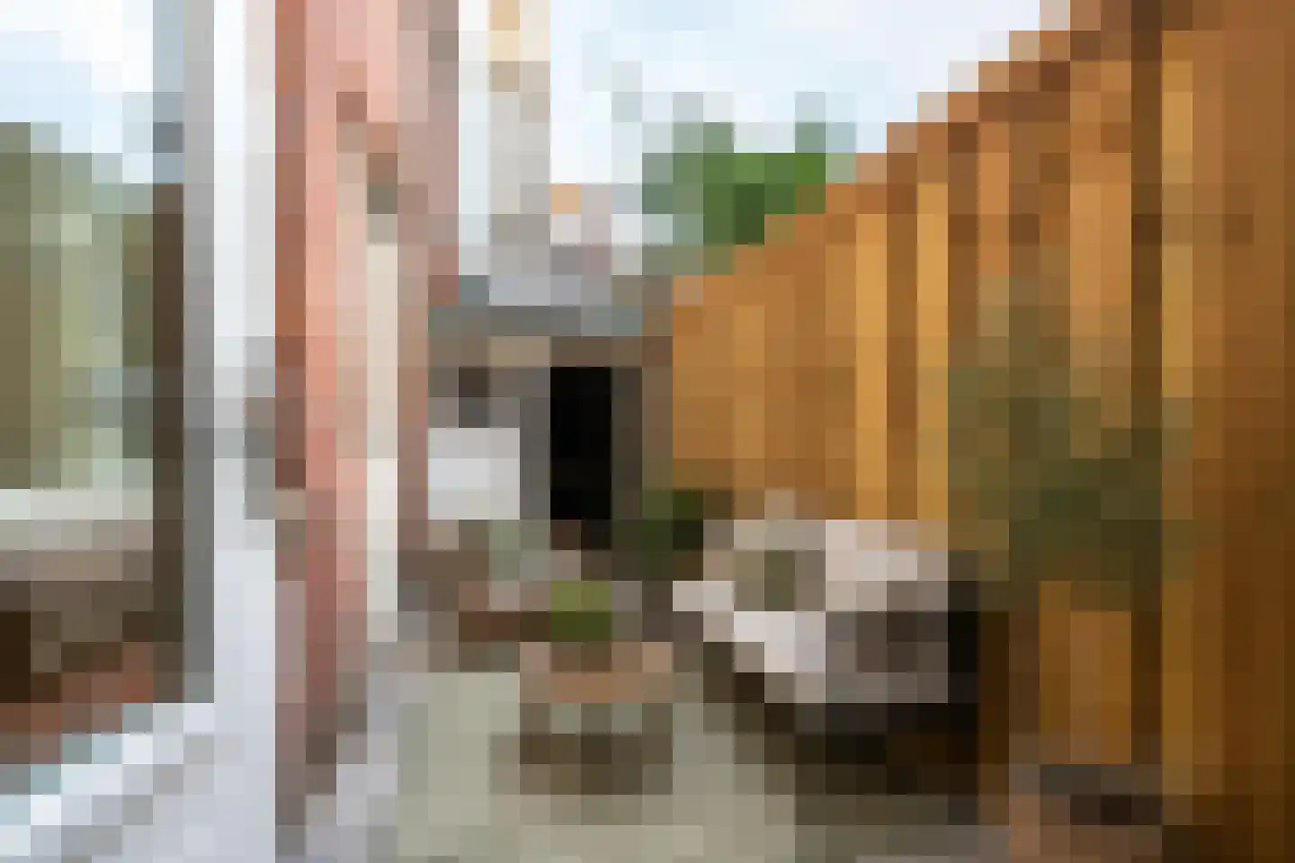 Albatrosstraat 14 Utrecht thumbnail 5