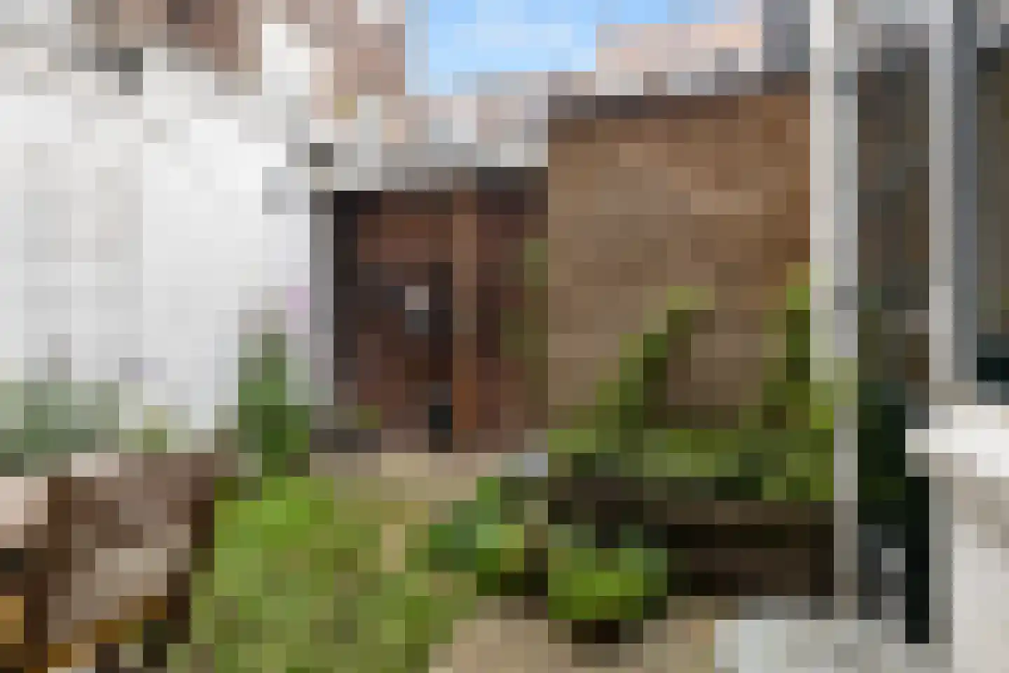 Albatrosstraat 18 Utrecht thumbnail 18