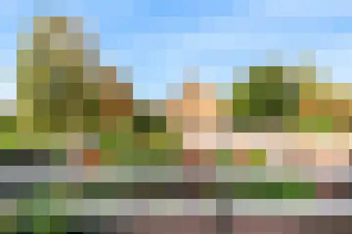 Albatrosstraat 19 Leiderdorp thumbnail 20