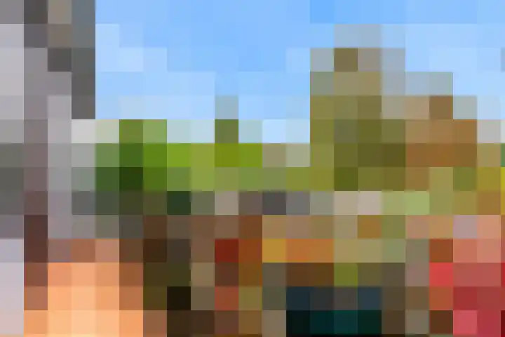 Albatrosstraat 19 Leiderdorp thumbnail 21