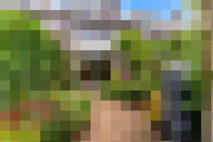 Albatrosstraat 19 Leiderdorp thumbnail 33