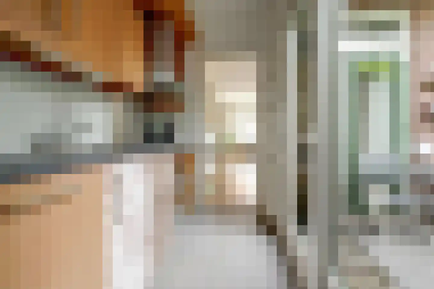 Albatrosstraat 33 Utrecht thumbnail 13