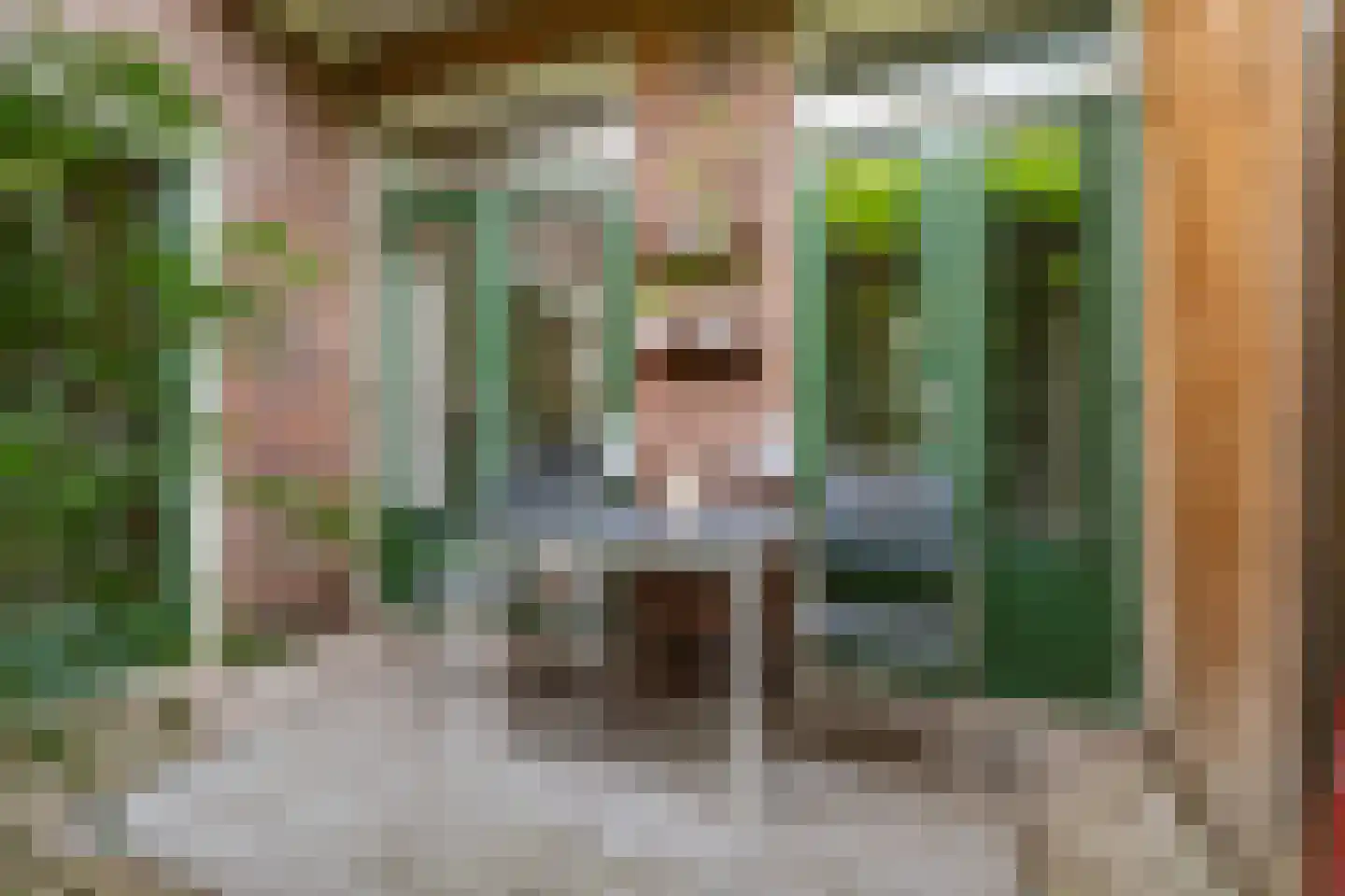 Albatrosstraat 33 Utrecht thumbnail 25