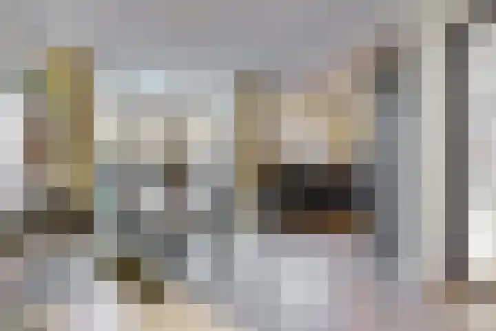 Albatrosstraat 4 Leiderdorp thumbnail 10