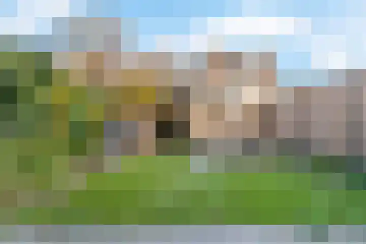 Albatrosstraat 4 Leiderdorp thumbnail 33