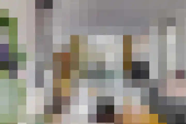Albatrosstraat 4 Leiderdorp thumbnail 9
