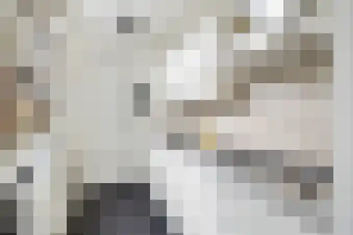 Albatrosstraat 45 Utrecht thumbnail 15