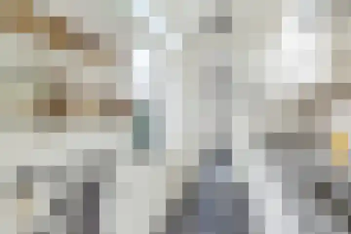 Albatrosstraat 45 Utrecht thumbnail 17