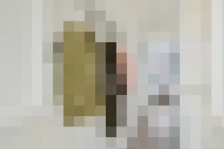Albatrosstraat 45 Utrecht thumbnail 20