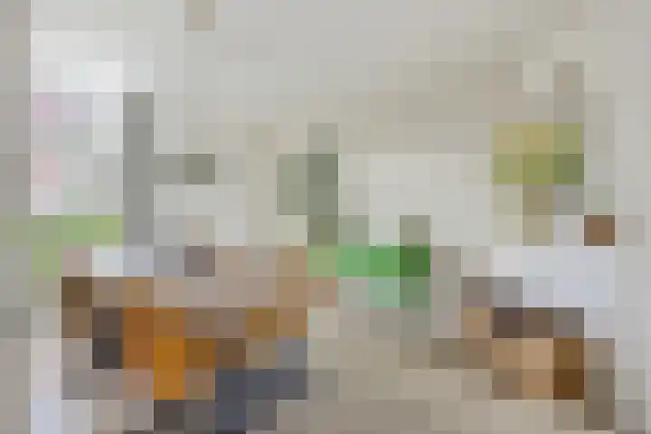 Albatrosstraat 45 Utrecht thumbnail 5