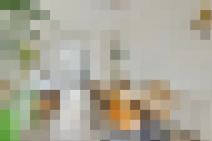 Albatrosstraat 45 Utrecht thumbnail 6