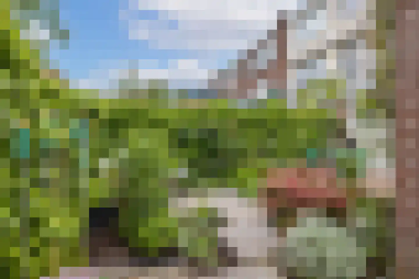 Albatrosstraat 47 Utrecht thumbnail 37