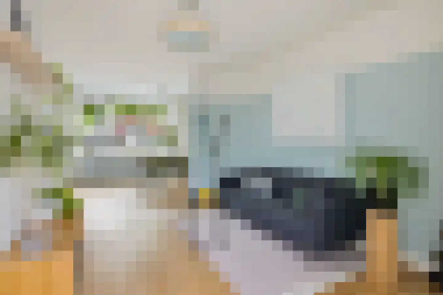 Albatrosstraat 47 Utrecht thumbnail 5