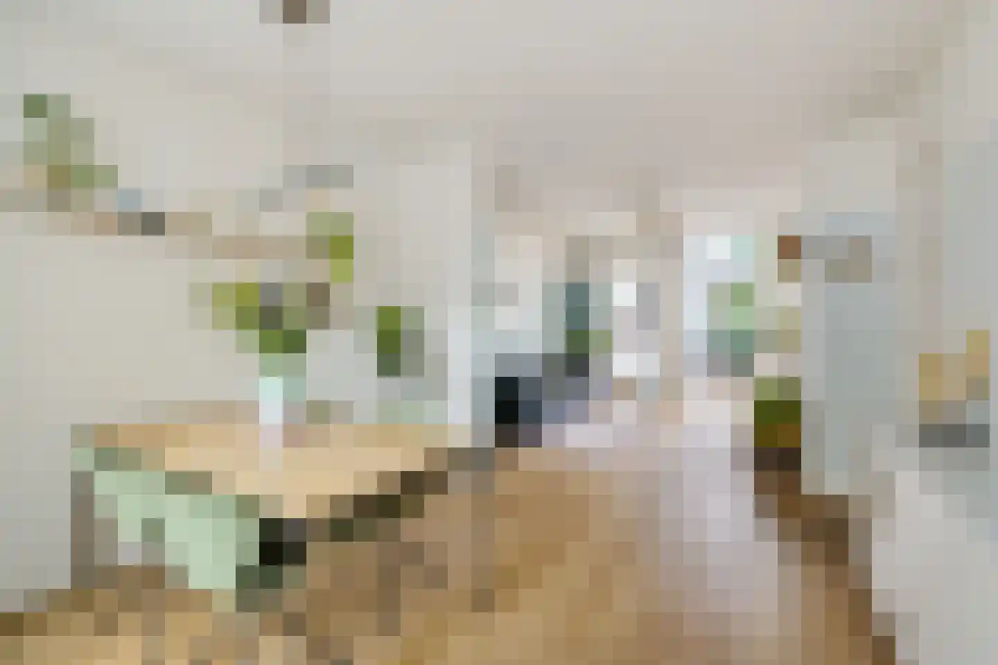Albatrosstraat 47 Utrecht thumbnail 8