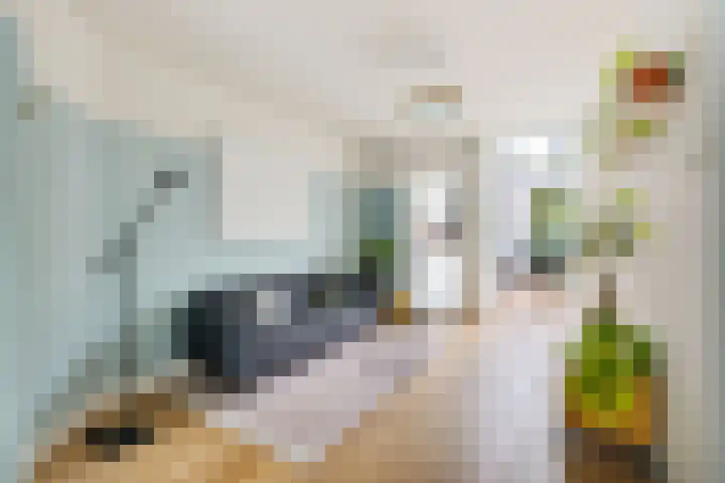 Albatrosstraat 47 Utrecht thumbnail 9