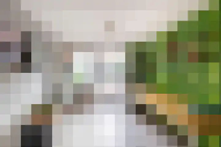 Albatrosstraat 50 Venlo thumbnail 20