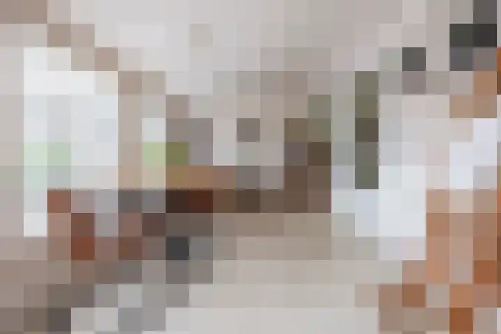 Albatrosstraat 50 Venlo thumbnail 9