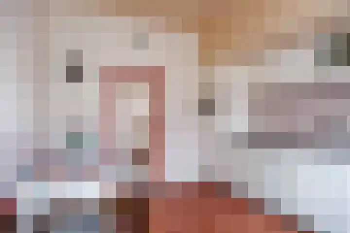 Albatrosstraat B 48 Nieuwe Pekela thumbnail 14