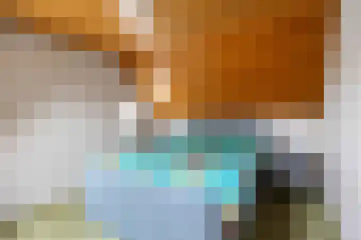 Albatrosstraat B 48 Nieuwe Pekela thumbnail 20