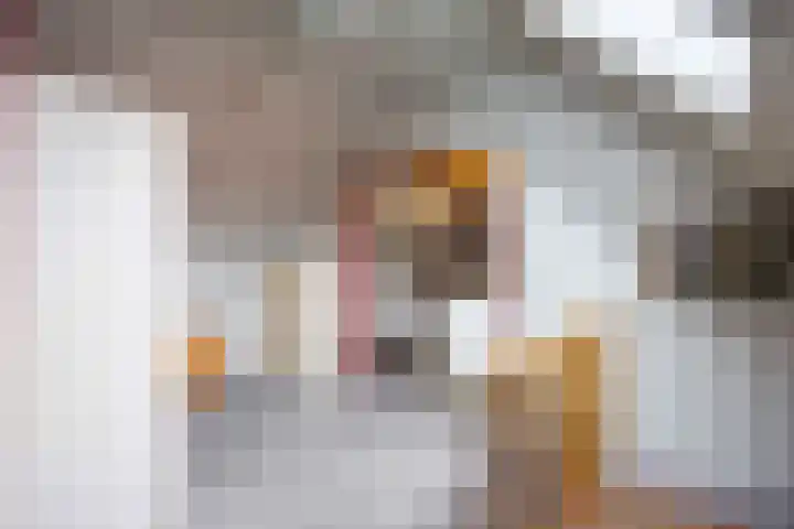 Albatrosstraat B 48 Nieuwe Pekela thumbnail 25