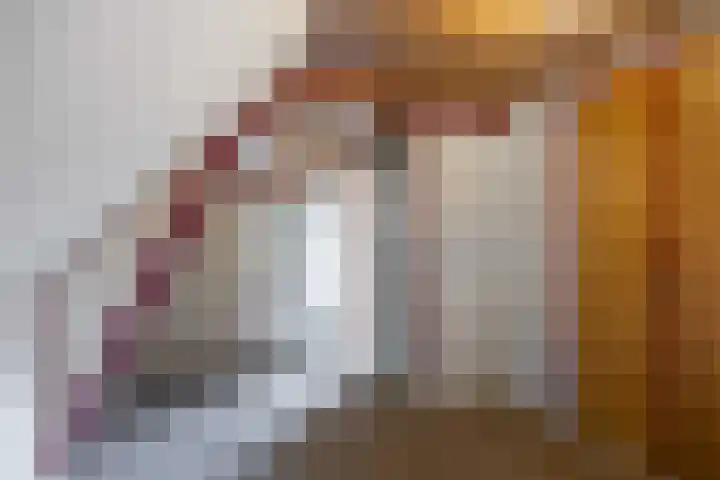 Albatrosstraat B 48 Nieuwe Pekela thumbnail 27