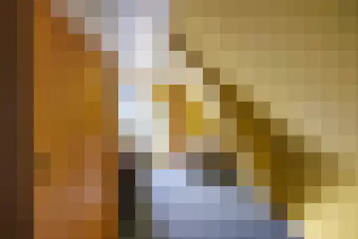Albatrosstraat B 48 Nieuwe Pekela thumbnail 31