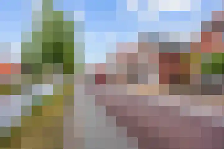 Albatrosstraat B 48 Nieuwe Pekela thumbnail 4