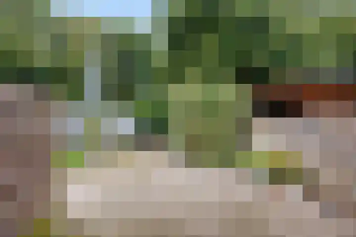 Albatrosstraat B 48 Nieuwe Pekela thumbnail 45