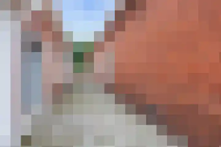 Albatrosstraat B 48 Nieuwe Pekela thumbnail 6