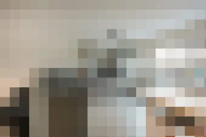Albatrosweg 10 Alkmaar thumbnail 12