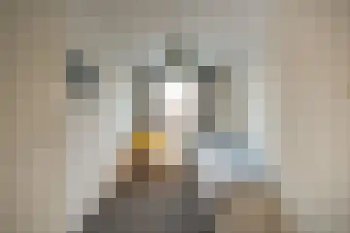 Albatrosweg 10 Alkmaar thumbnail 23