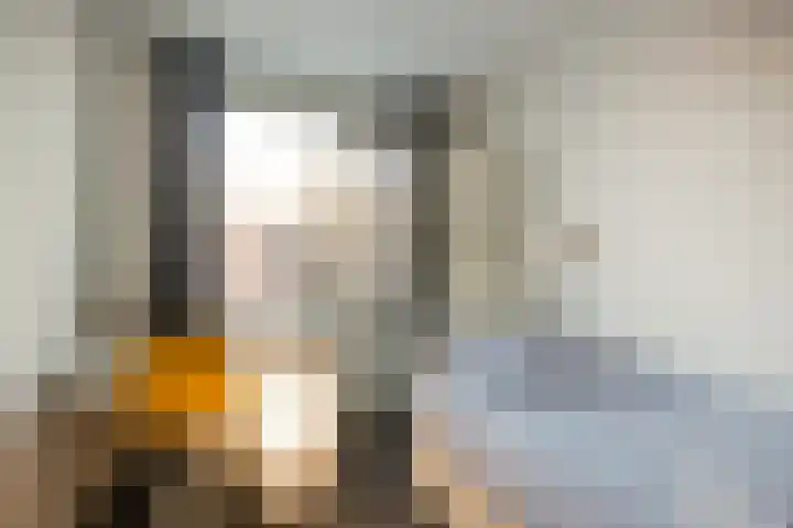 Albatrosweg 10 Alkmaar thumbnail 24