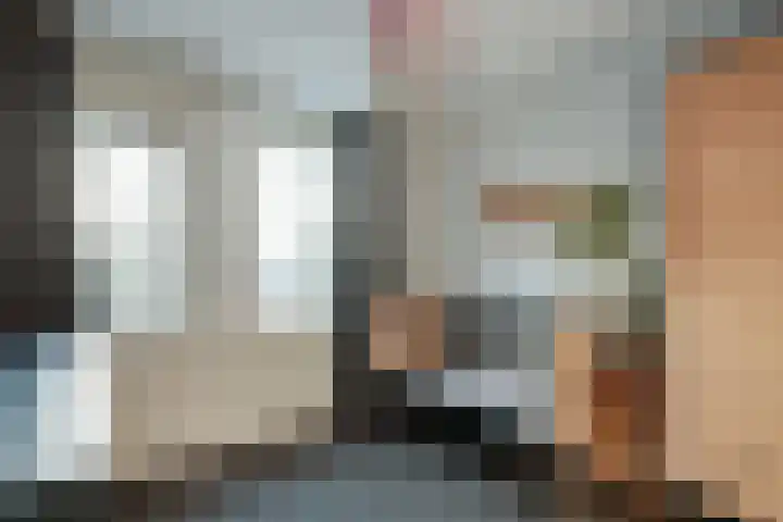 Albatrosweg 10 Alkmaar thumbnail 26