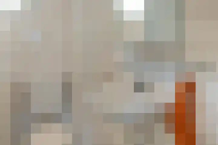 Albatrosweg 10 Alkmaar thumbnail 29