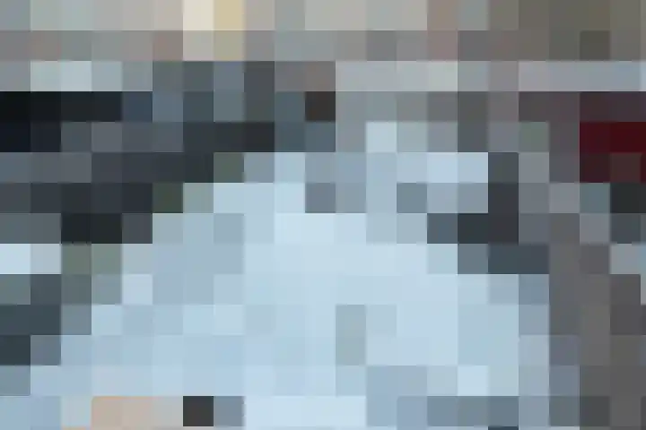 Albatrosweg 10 Alkmaar thumbnail 38