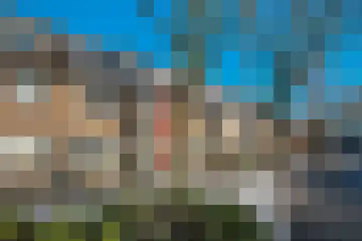 Albatrosweg 10 Alkmaar thumbnail 42