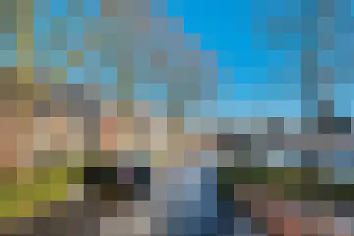 Albatrosweg 10 Alkmaar thumbnail 43