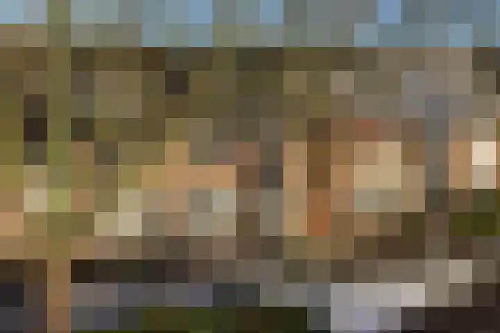 Albatrosweg 10 Alkmaar thumbnail 46