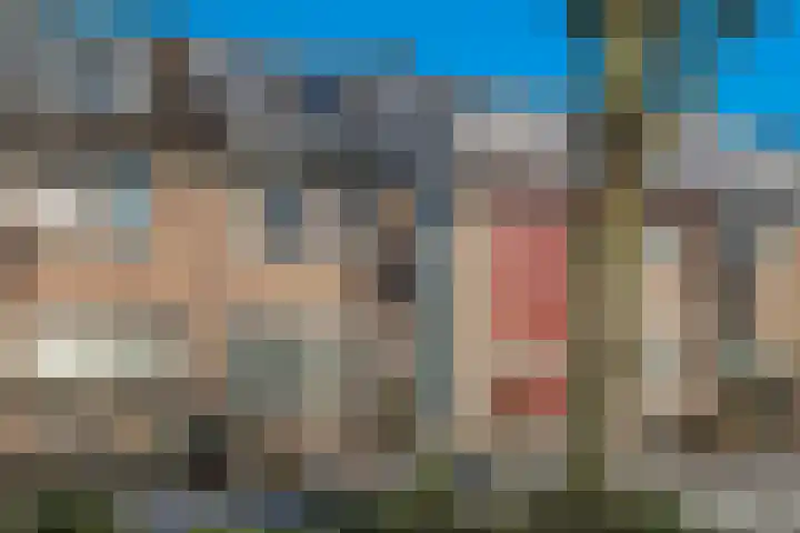 Albatrosweg 10 Alkmaar thumbnail 47
