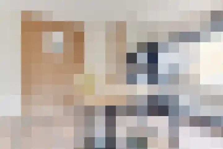 Albatrosweg 9 Alkmaar thumbnail 17