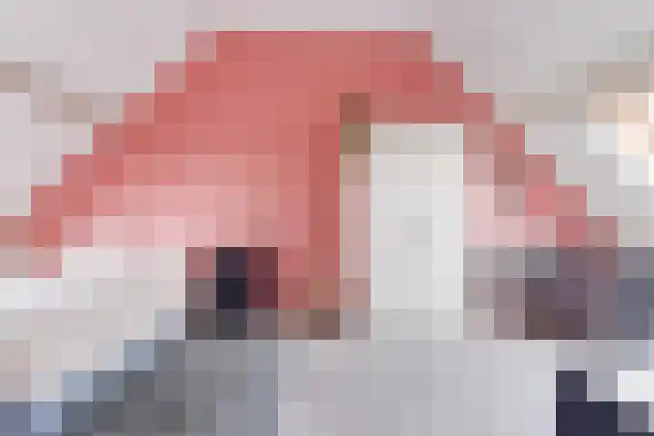 Albatrosweg 9 Alkmaar thumbnail 33