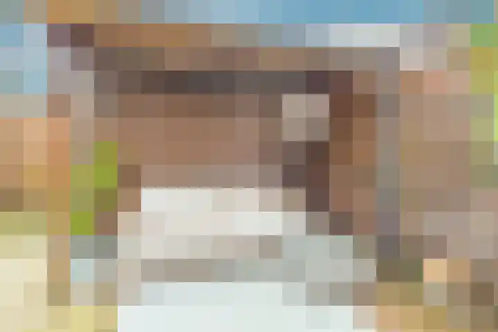 Albatrosweg 9 Alkmaar thumbnail 40