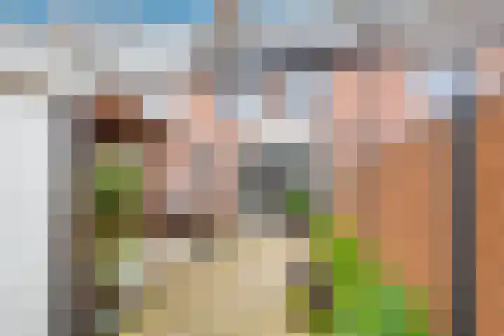 Albatrosweg 9 Alkmaar thumbnail 41