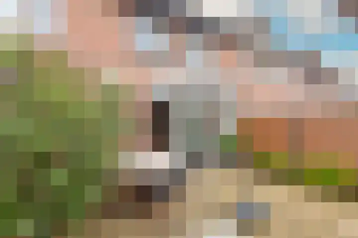 Albatrosweg 9 Alkmaar thumbnail 42