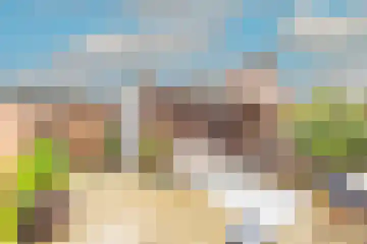 Albatrosweg 9 Alkmaar thumbnail 6